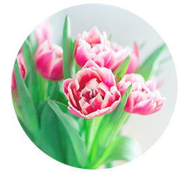 Same day Flowers Feltham 